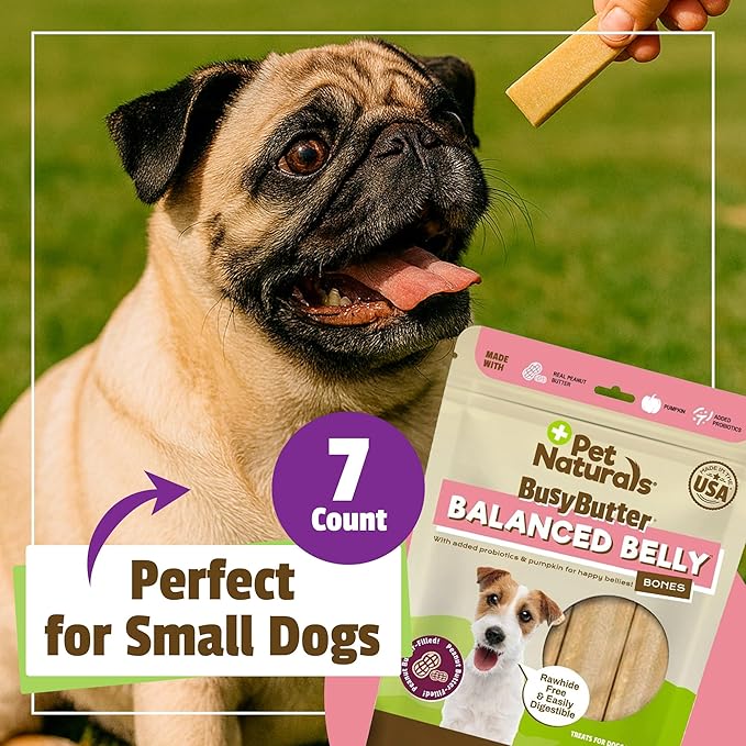 Pet Naturals BusyButter Balanced Belly Bones for Small Dogs – 22 Count, Rawhide-Free Long Lasting Chews with Probiotics, Prebiotics & Pumpkin for Dog Digestive & Gut Health Support, Peanut Butter