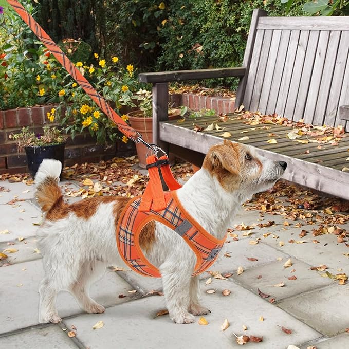 KOOLTAIL Thanksgiving Dog Harness for Small Medium Dogs,Dog Harness and Leash Set, Step in No Pull Soft Mesh Padded Adjustable and Reflective Pet Vest Puppy, Extra Harness for XS S Dogs Orange Plaid M
