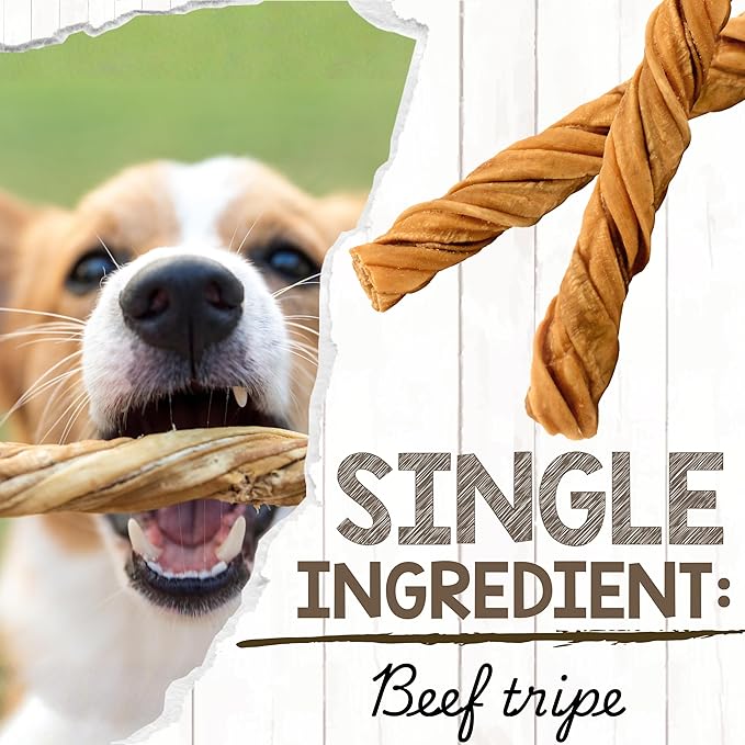 Nature Gnaws Tripe Twists for Dogs 4-5" (10 Count) - Crunchy Grain Free Reward Snack for Small, Medium & Large Breeds - Natural Beef Dog Chew Treats - Rawhide Free
