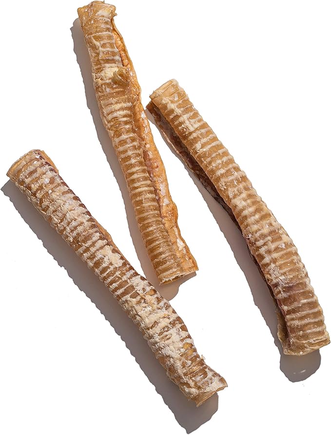 Jack&Pup 12" Beef Trachea for Dogs | All Natural Single Ingredient Dog Treat Dog Trachea Chews | Savory and Fun Treat for Dogs (6 Pack)