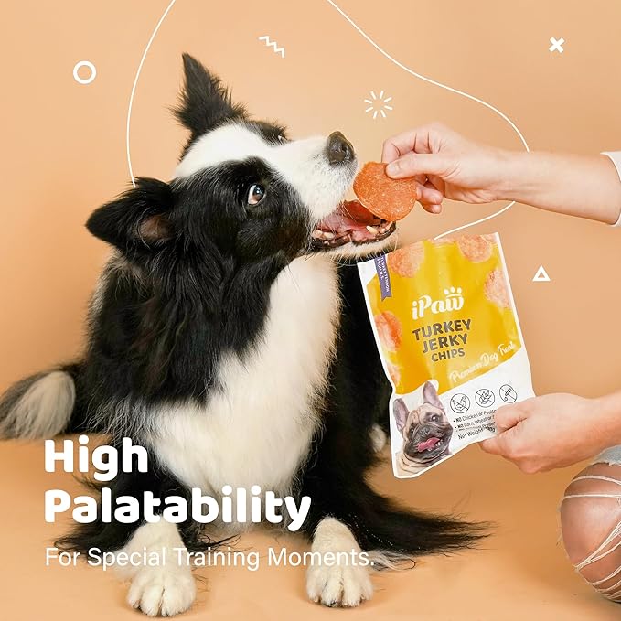 iPaw Turkey Chips Dog Treats for Puppy Training, All Natural Human Grade Dog Treat, Hypoallergenic, Easy to Digest (Turkey Chips)