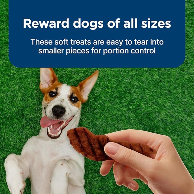 Blue Buffalo Nudges Grillers Natural Dog Treats, Made in the USA with Real Steak, 16-oz Bag (Pack of 5)