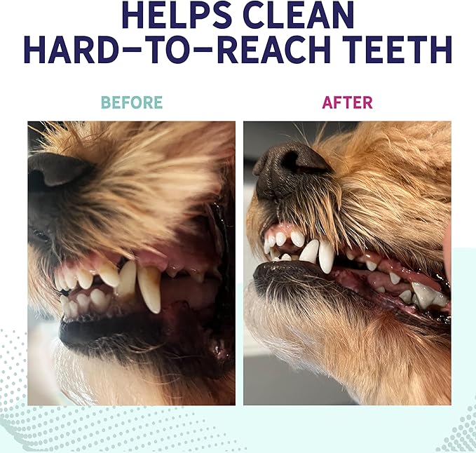 Health Extension Peanut Butter Dental Bones for Dogs, 8 Medium Bones – Supports Dental Health, Delicious Flavor, Ideal for Puppy Training