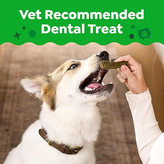 Greenies Veterinarian-Recommended, Limited-Edition Natural Dental Dog Treats Large Size, Pumpkin Spice Flavor, 12 oz. Pack, 8 Count