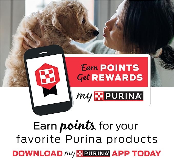 Purina T-Bonz Filet Mignon Flavor Steak Shaped Treats for Dogs - (Pack of 4) 28 oz. Pouches