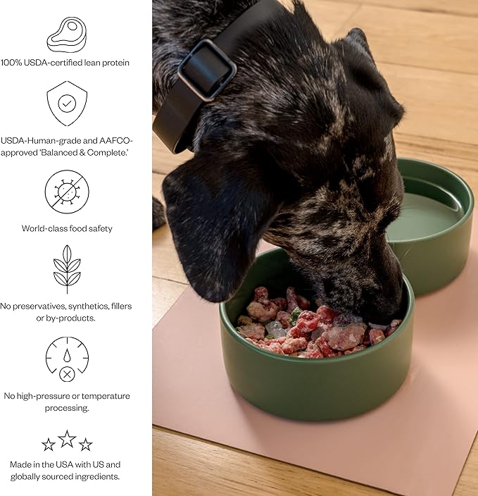 Maev Human-Grade Chicken Dog Food, Skin & Coat Formula, Whole Ingredient, Gluten-Free, High Protein Puppy & Dog Food, 5 lb
