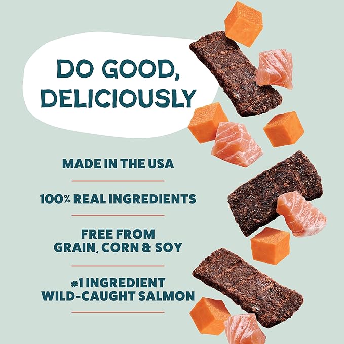 Shameless Pets Jerky Bites Treats, Salmon Loves Butternut- Healthy Dog Chews for Skin & Coat Support with Omega 3 and 6- Dog Treats with Real Wild-Caught Salmon- Free from Grain, Corn & Soy - 14 oz