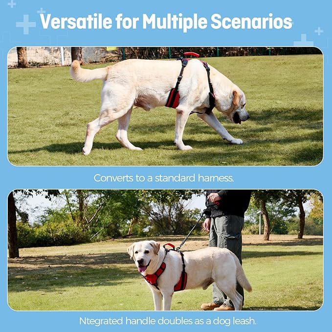 Dog Lift Harness for Large Dogs, Full-Body Support Dog Harness for Stairs & Hind Leg Weakness, Senior Dog Walking Assist, Male Dog-Friendly & Comfortable, Red, L