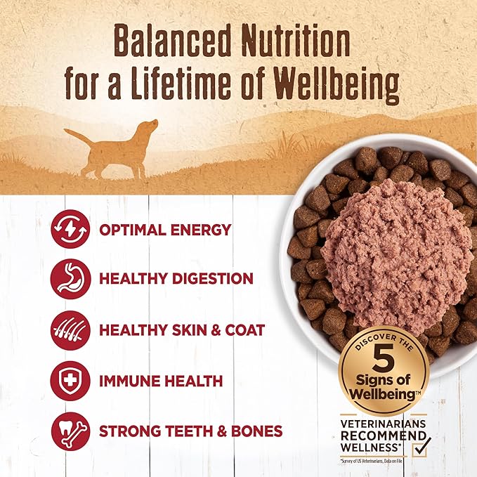 Wellness 95% Beef Natural Wet Grain Free Canned Dog Food, 13.2-Ounce Can (Pack of 12)