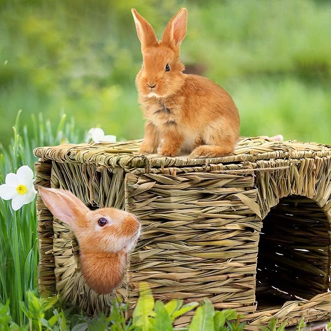Natural Seagrass Mat Bed Hideaway Toy, Hand Woven for Rabbit Guinea Pig Chinchilla Ferret