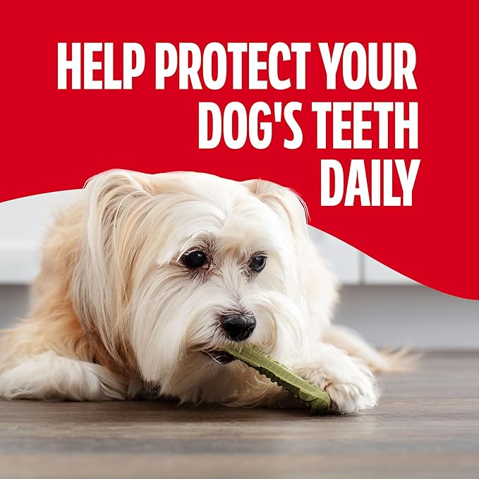 Milk-Bone Brushing Chews Fresh Mint Flavor Daily Dental Dog Treats, Mini, 18.9 Oz. Bag