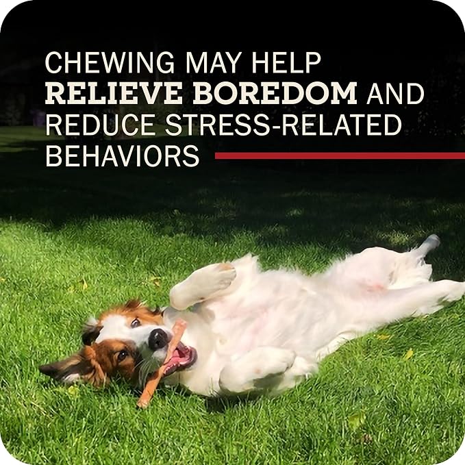 Redbarn Pet Products Straight 5" Bully Sticks - Long Lasting Dog Chew, All Natural Bully Bones (50-Count)
