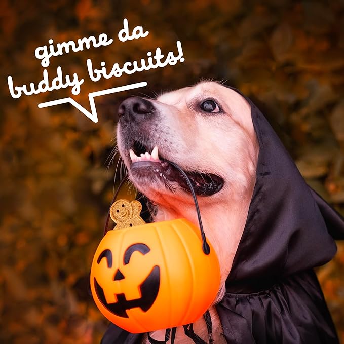 Buddy Biscuits Crunchy Wheat Free Halloween Dog Treats with Pumpkin, 14 oz. Box (Pack of 2)