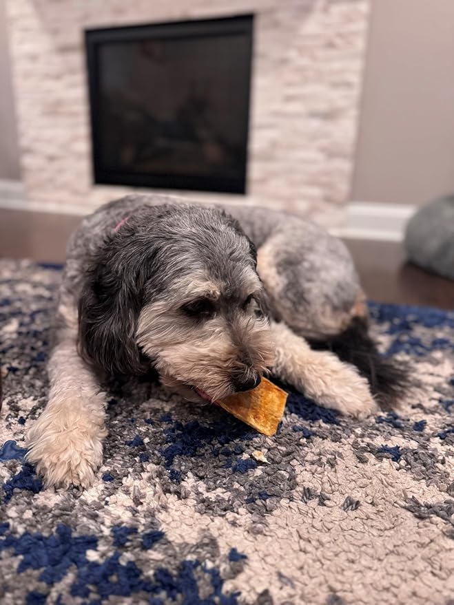 Fieldcrest Farms Nothin to Hide Flip Chips Dog Chews - Natural Rawhide Alternative Treats for Dogs, Collagen Based Snack for Moderate Chewers Up to 35lbs, Chicken Flavor