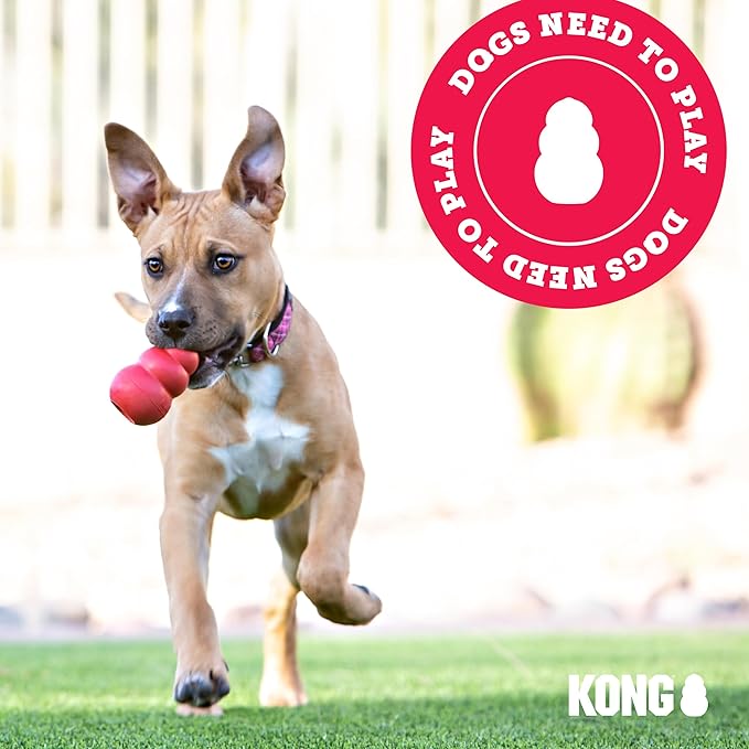 KONG Classic Stuffable Dog Toy - Fetch & Chew Toy for Dogs - Treat-Filling Capabilities & Erratic Bounce for Extended Play Time - Durable Natural Rubber Material - for Medium Dogs (Pack of 2)