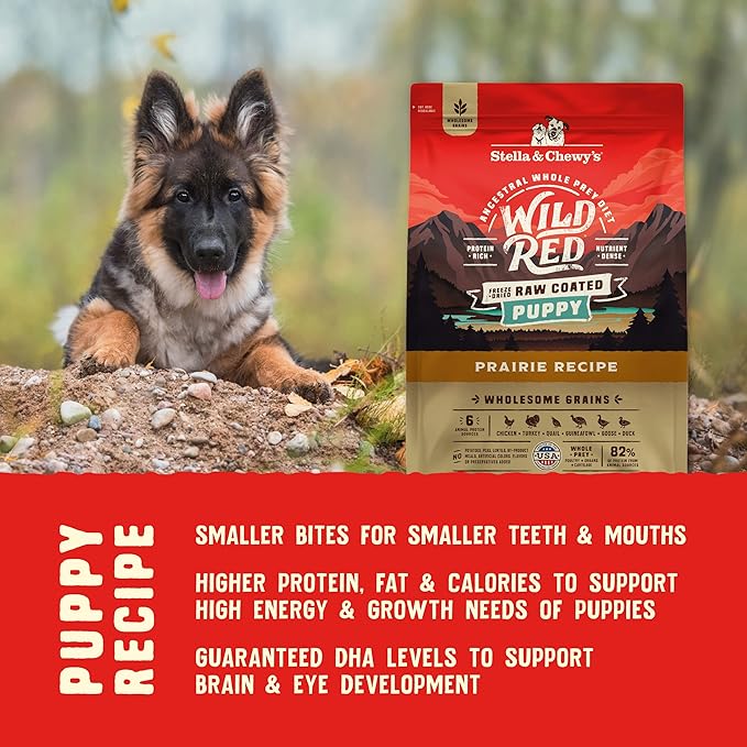 Stella & Chewy's Wild Red Dry Dog Food Raw Coated High Protein Wholesome Grains Puppy Prairie Recipe, 3.5 lb. Bag