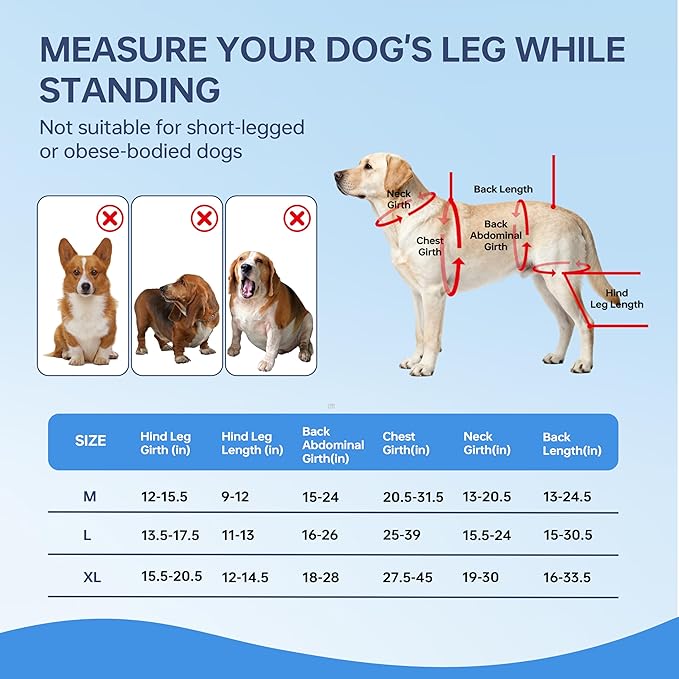 Dog Knee Brace for Back Leg - Adjustable Breathable Canine Leg Wrap with Hot & Cold Gel Packs - Supports Large & Medium Dogs with Arthritis, Hip Dysplasia, ACL Injuries, Left Hind Leg (L)