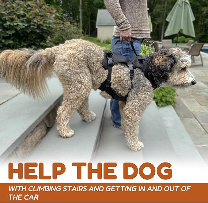 Doggie Stylz Dog Lift Harness for Large Dogs Full Body Support Sling Dog Carrier has Adjustable Handles Recovery Vest for Senior Dogs, Arthritis Joint Injuries, Mobility Aid Back Leg Support (XL)