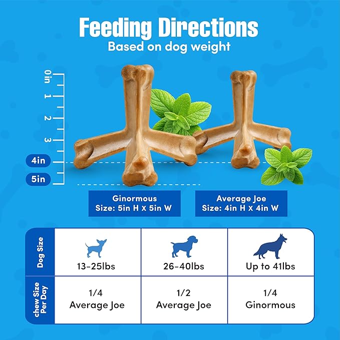 N-Bone Quado Interactive Chew, Peanut Flavor, Average Joe, 2.8oz, Natural, Medium (Pack of 1)