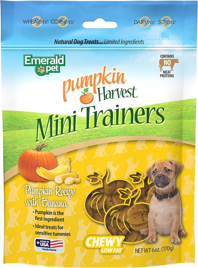 Emerald Pet Pumpkin Harvest Mini Trainers with Banana Chewy Dog Treats Made in The USA, 6oz (Banana Mini)