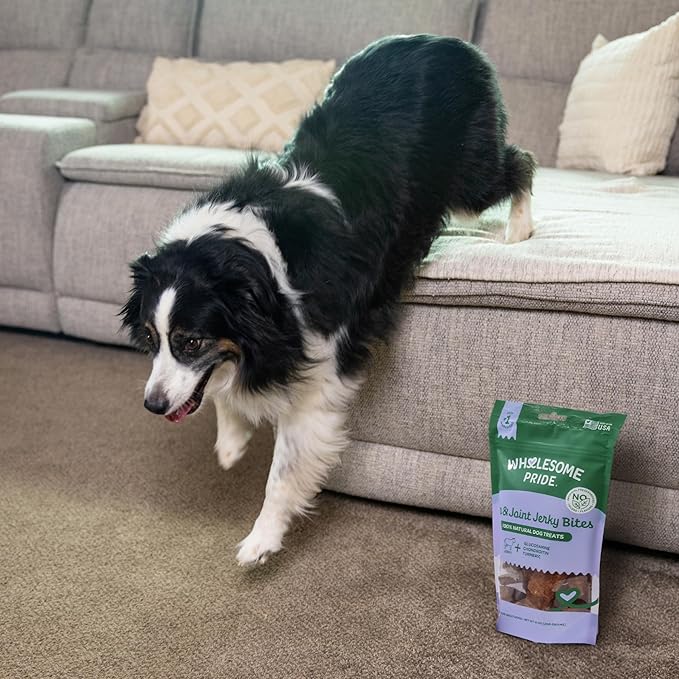 Wholesome Pride Functional Dog Hip & Joint Support Beef Jerky Bites, USA Made Mobility Dog Treats - 8 oz