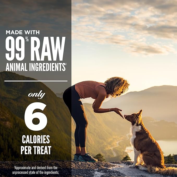 ORIJEN Grain Free High Protein Freeze Dried Dog Treats Regional Red Recipe 1.5oz Bag