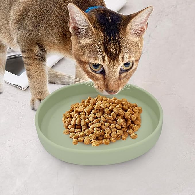 Silicone Cat Dog Bowls, Non Slip Dog Food Cat Feeding Plates, Pet Drinking Bowl for Dry and Wet Food, 10 OZ/330ML Water Bowl for Small Pets 2PCS (Green)