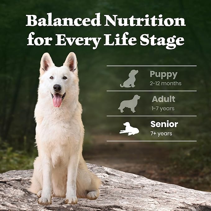 Blue Buffalo Wilderness 31 g Protein, Meat Rich Natural Dry Senior Dog Food, Lamb, Chicken-Free Formula, 4.5lb Bag