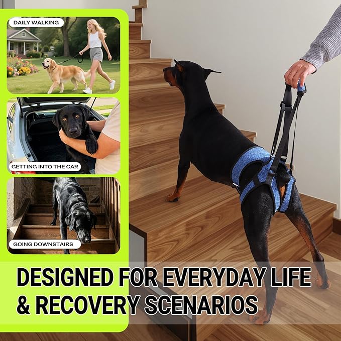 Dog Lift Harness – Adjustable Hind Leg Support Sling for Medium & Large Dogs, Soft Padded Mobility Aid for Senior, Injured & Arthritic Dogs