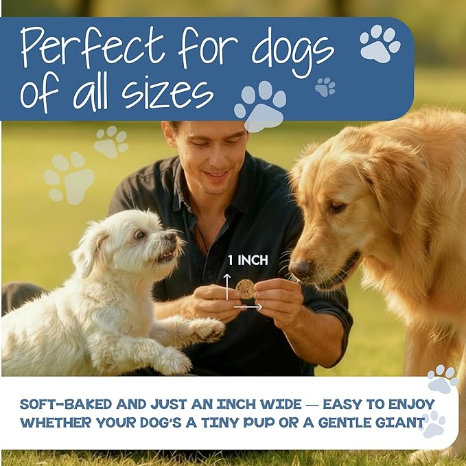 DAWG'S CHOICE Soft & Chewy Dog Treats, Peanut Butter & Honey Snacks for Dogs, Dog Treats Made in USA, Human Grade, All-Natural Ingredients, High Value Training Treats, for Small, Medium & Large Dogs