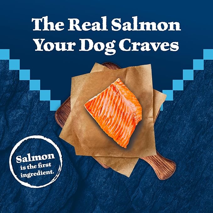 Blue Buffalo Wilderness High-Protein Natural Dry Food for Senior Dogs, Salmon Recipe, 24-lb. Bag
