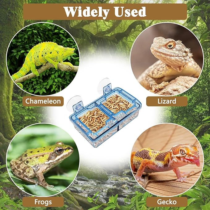 Hamiledyi Transparent Reptile Feeder with Suction Cup Separated Double Compartments Chameleon Bowl Gecko Live Worm Feeder Anti-Escape Reptile Supplies for Lizard Bearded Dragon (Blue, 2 Pcs)