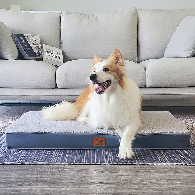 Sunheir Extra Large Waterproof Dog Bed, Jumbo Orthopedic Dog Beds with Removable Washable Cover for Large Dogs, Pet Bed Mat Egg-Crate Foam, 54"X42"X4", Grey