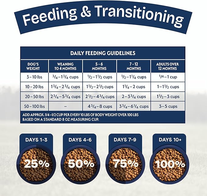 Natural Balance Health Protection Puppy Dry Dog Food – Whole Body Health, Easy on Digestion Dog Food Made with Chicken, Brown Rice & Pumpkin for Puppies - 12lbs.
