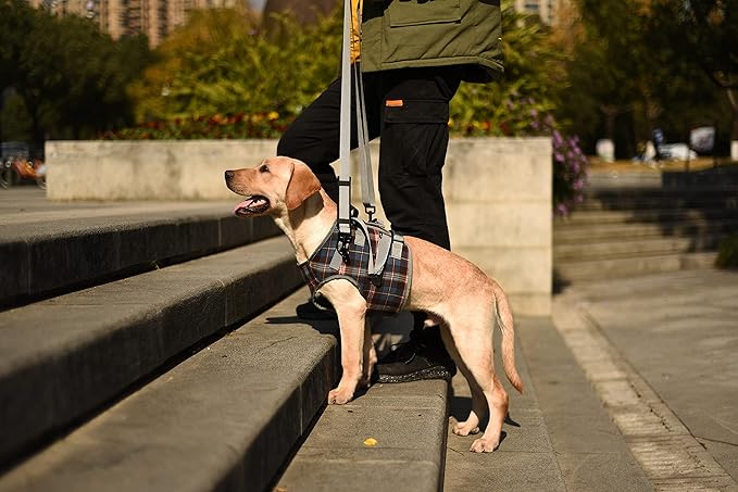 ROZKITCH Dog Lift Harness, Grid Pet Chest Support Aid Veterinarian Approved Sling for Old K9 Help with Poor Stability, Front Legs Disabled Joint Injury Elderly Arthritis ACL Rehabilitation Rehab