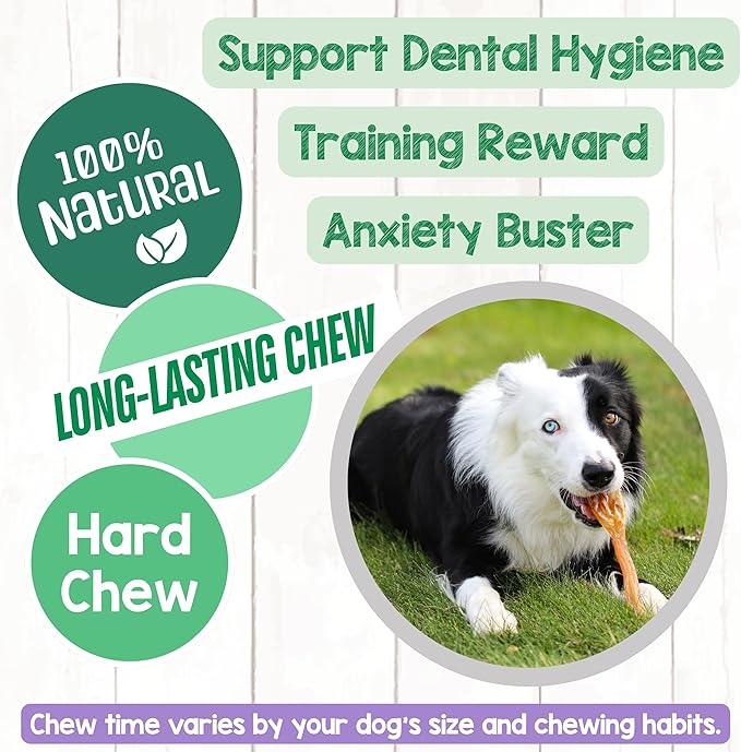 Nature Gnaws Beef Tendons for Dogs 7-11" (12 Count) - Long Lasting for Aggressive Chewers & Large Dogs - Natural Beef Jerky Dog Chew Bones - Rawhide Free