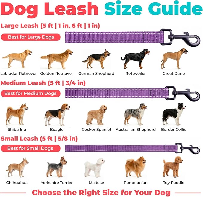 Best Pet Supplies Voyager Reflective Dog Leash or Collar with Neoprene Handle, for Small, Medium, and Large Breed Puppies, Cute and Heavy Duty for Walking, Running and Training - Purple (Leash), S