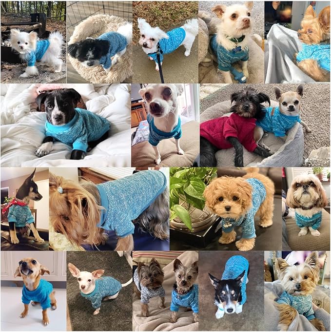 Jecikelon Dog Clothes Dogs Sweater Soft Puppies Clothing Winter Puppy Sweaters Warm Outfit for Dogs Small XXS XS Cat Apparel (X-Large, Light Blue)