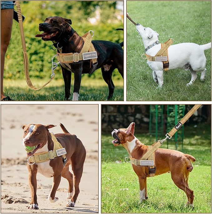 SlowTon No Pull Dog Harness - Heavy Duty Dog Harness and Leash Set for Medium Large Dogs, Reflective Tactical Harness with Soft Padded and Front Clip for Easy Walk and Training (Y, XL)