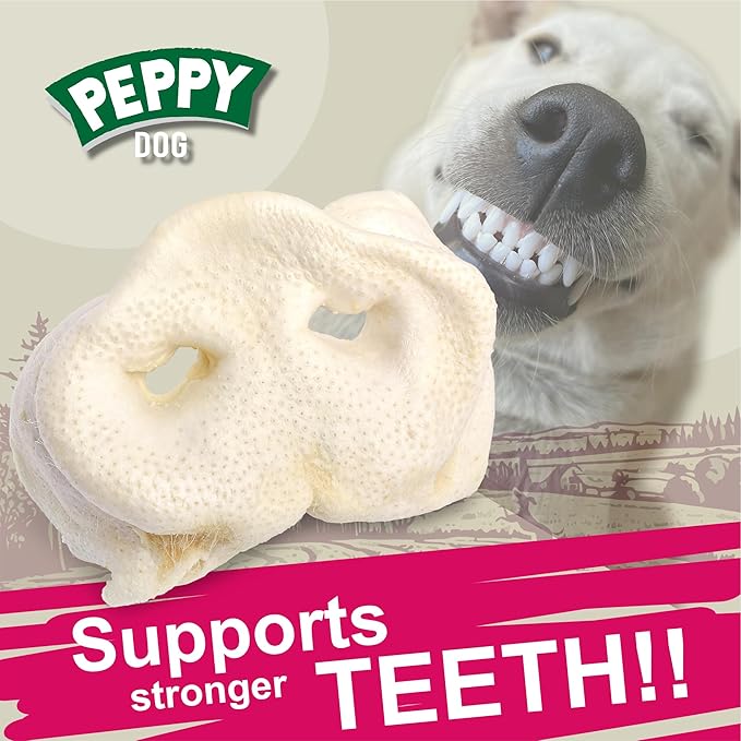 White Pig Snouts for Dogs 10 Pcs | Natural, Low-Fat Dog Chews | High Protein, Single Ingredient Treats | Supports Dental Health | Ideal for All Breeds