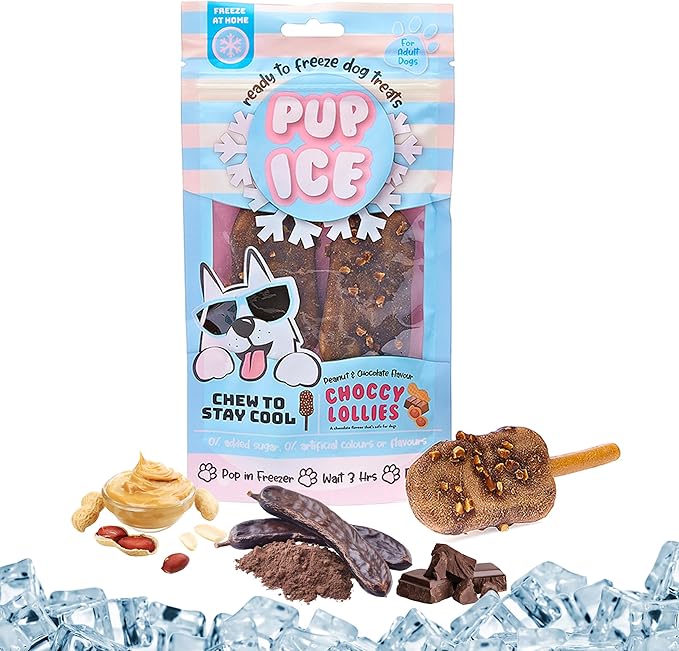 SPOT Pup Ice Dog Treats – Freeze-at-Home Edible Chews for Medium Breed Dogs & Puppies, Safe Peanut & Carob Flavor (No Chocolate), 2ct Rocket Lollies with Real Chicken