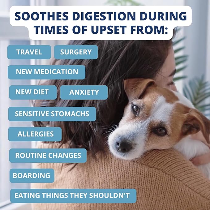 Under the Weather Bland Diet for Dogs | Easy to Digest for Sick Dogs |Always Be Ready| Contains Electrolytes - All Natural Freeze Dried 100% Human Grade Meats| 1 Pack- Chicken, Rice & Bone Broth - 6oz