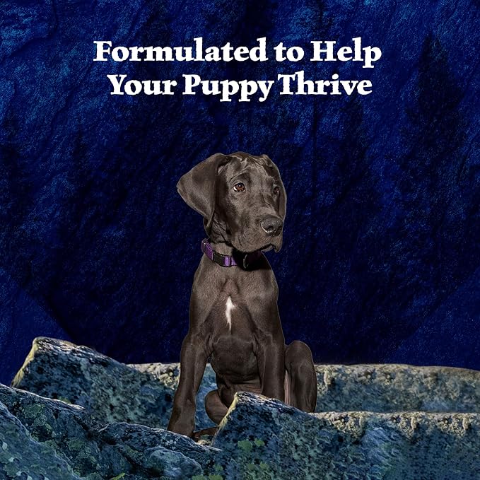 Blue Buffalo Wilderness Natural High-Protein & Grain-Free Wet Food for Puppies, Turkey & Chicken, 12.5-oz. Cans, 12 Count