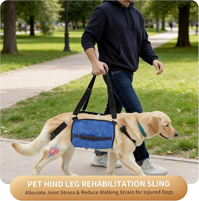 Dog Lift Harness for Large Dogs, Dog Sling Carrier with Lifting Handle for Mobility Assistance, Senior Dogs with Arthritis, Hip Dysplasia & Post-Surgery Recovery, XXL