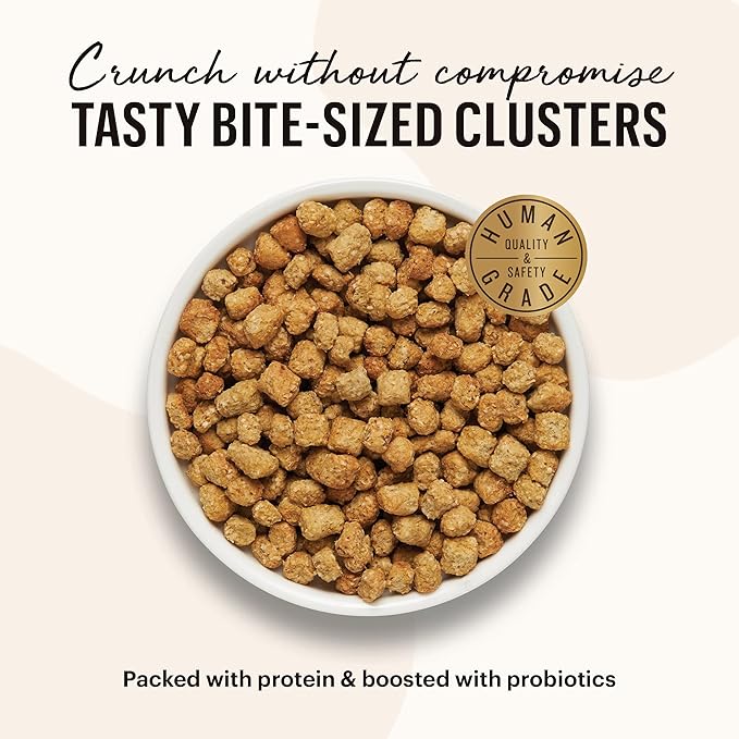 The Honest Kitchen Whole Food Clusters Grain Free Chicken & Fish Dry Cat Food, 1 lb Trial Pouch (Pack of 2)