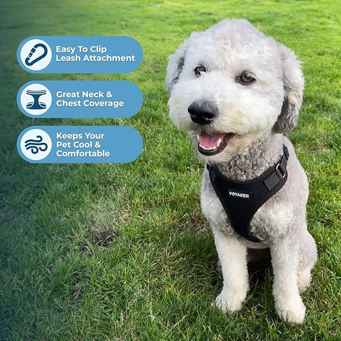 Best Pet Supplies Voyager Step-in Lock Pet Harness w Reflective Pet Leash Combo Set with Neoprene Handle 5ft - Supports Small, Medium and Large Breed Puppies/Cats - Black Set, M