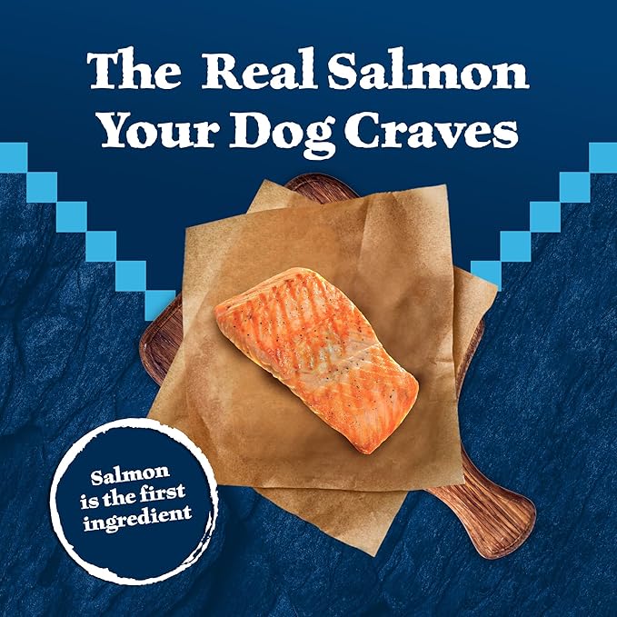 Blue Buffalo Wilderness Adult High-Protein Dry Dog Food Natural Salmon with Wholesome Grains