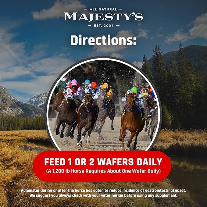 Majesty's Flex HA Wafers - Superior Performance Horse/Equine Joint Support Supplement - HA, Vitamin C, Yucca, Glucosamine (Regular, 2 Pack (120 Count Total))
