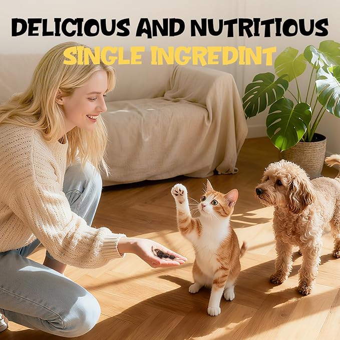 Freeze Dried Quail Treats for Dogs & Cats – Single Ingredient, High Protein Dog Treats, Grain Free, Easy Digestion, Healthy Training Rewards for Dogs & Cats, 3 oz