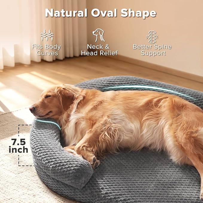 JOEJOY Orthopedic Dog Beds Large Sized Dog, Washable Waterproof Oval Large Dog Bed with Removable Cover, Big Egg-Crate Memory Foam Pet Bed with Bolster Sides & Non-Skid Bottom, Dark Grey, 36''x27''